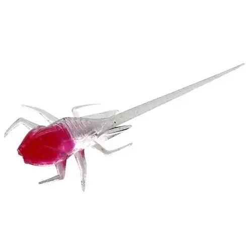 13 Fishing Battle Beetle Ice Plastics – 6 Pack – Snozberry