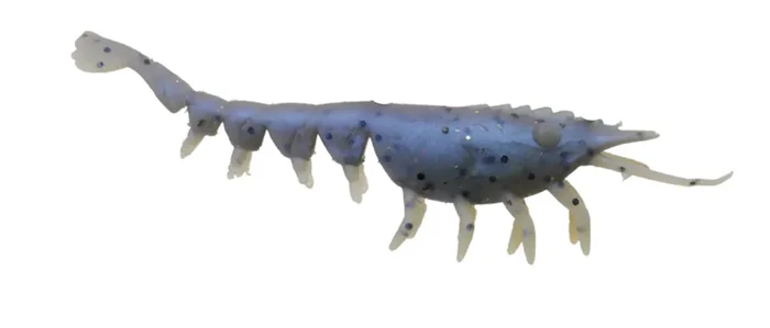 A Band Of Anglers – Floating Natural Shrimp – 4in 3pk 1hk-pearly Blue – HYLSNS4FLPRB