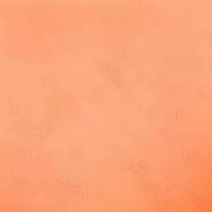 Atlas-Mike‘s Spawn Net Square – 3″ x 3″ – Peach