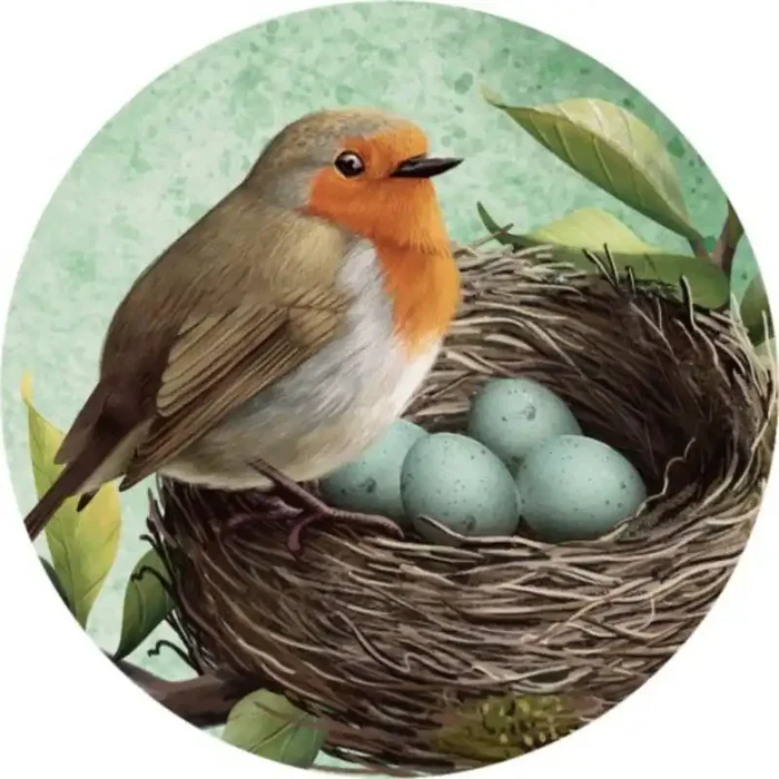 Carson Home Accents Car Coaster – Nature Robin
