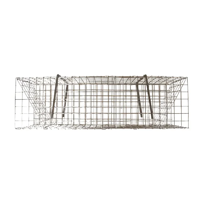 Folding Colony Muskrat Trap – 6x6x24