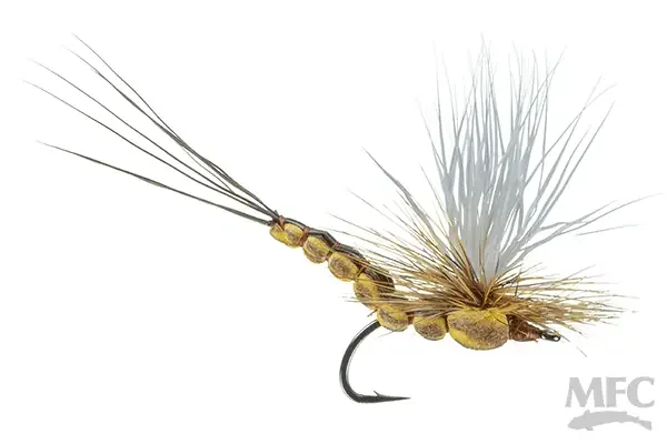 McCoy‘s All Day Dun – Brown Drake