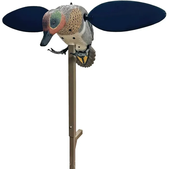 MOJO Green Wing Teal – HW2555