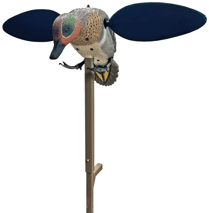 Mojo Hw2555 Green Wing