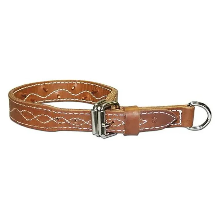 Omnipet Leather Force Collar 1.25″ X 25″ Brown – 133F-25