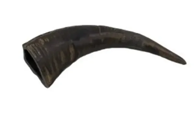 Tailfin Pet Co. Water Buffalo Horn XL