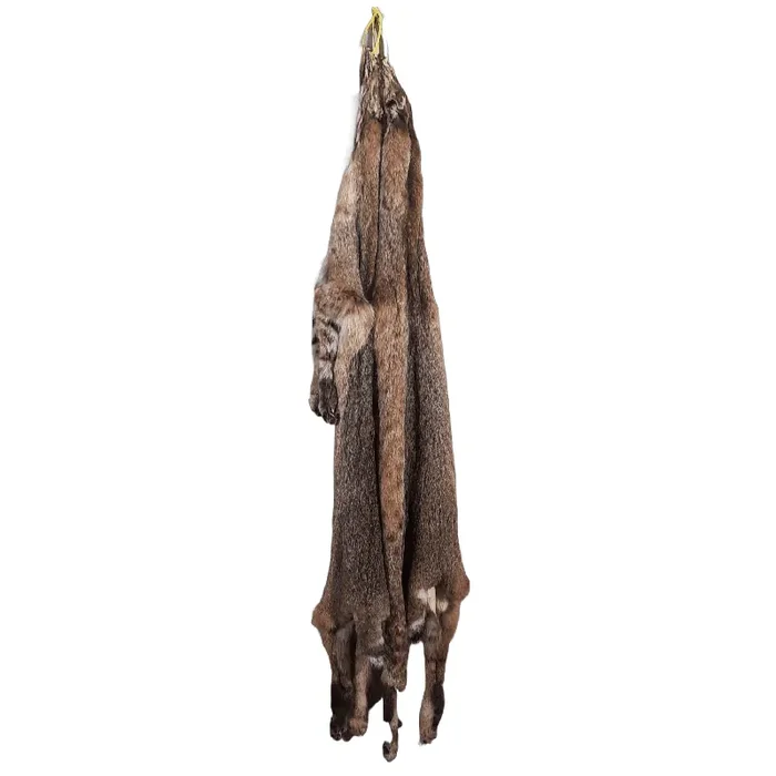 Tanned Bobcat Pelt