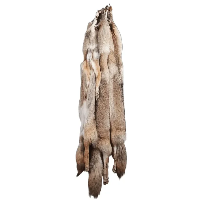 Tanned Coyote Pelt with Feet