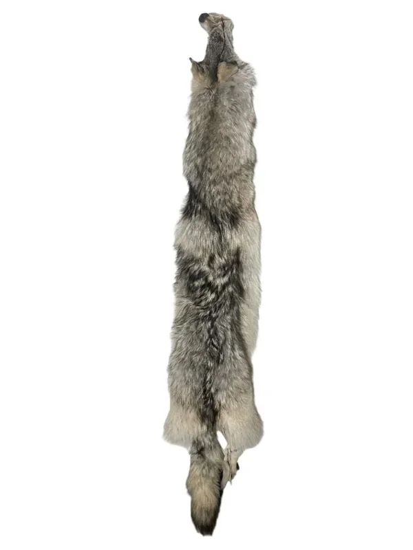 Tanned Timber Wolf No. 7 – 82″ Long
